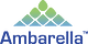 The earnings report is due soon for AMBA giving investors an opportunity to better understand the company financial situation.